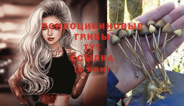 spice Касимов