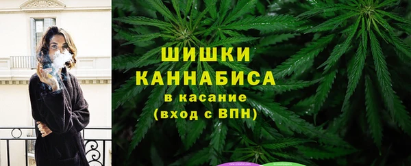 spice Касимов