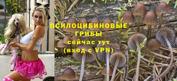 тгк Карпинск