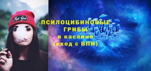 spice Касимов